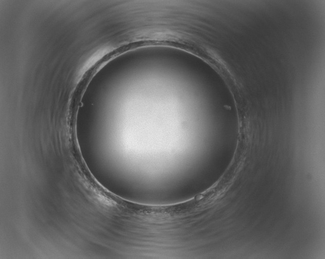 X0000078271071200611031136