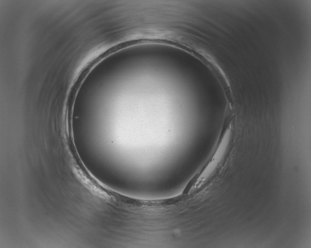 X0000078271080200611031136