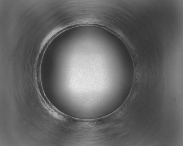 X0000078271086200611031136