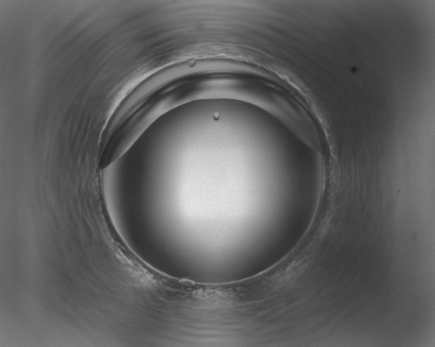 X0000078271089200611031136
