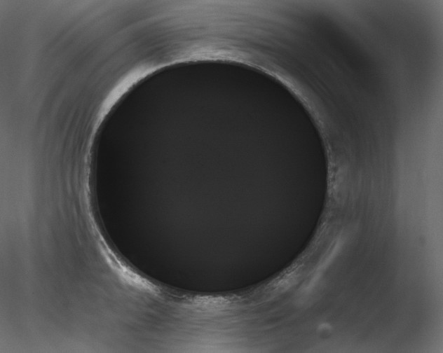 X0000078271094200611031136