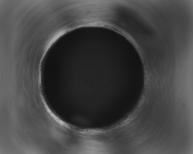 X0000078271095200611031136