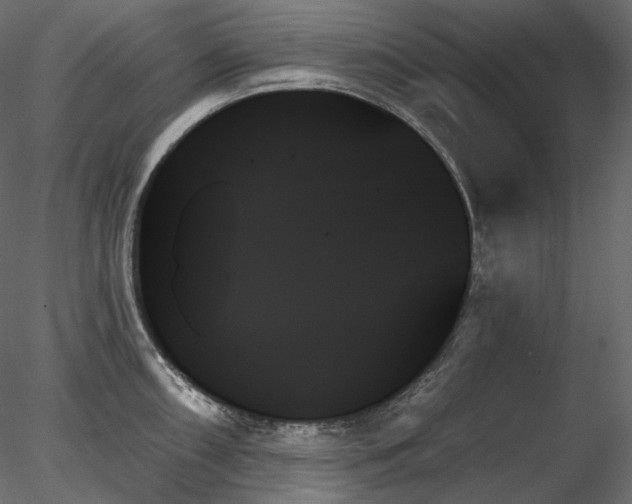 X0000078271098200611031136