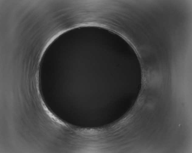 X0000078271100200611031136