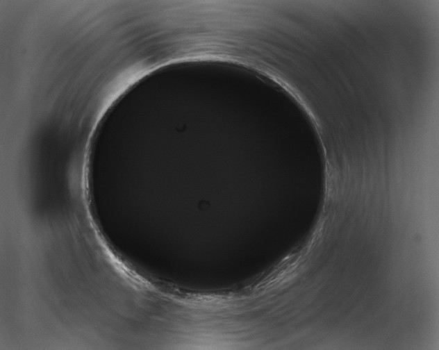 X0000078271101200611031136