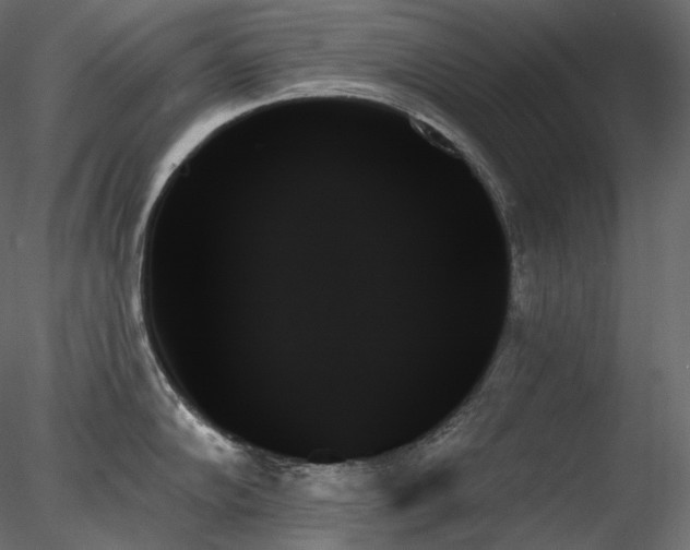X0000078271102200611031136