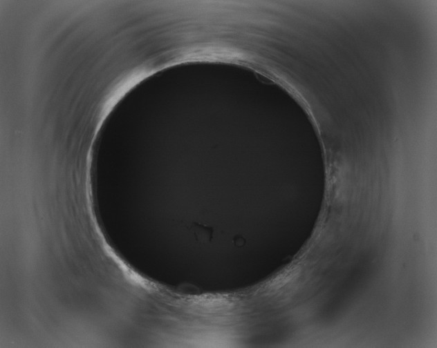 X0000078271103200611031136