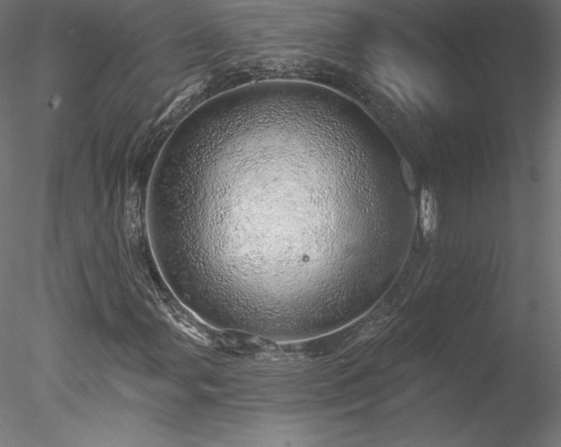 X0000078271107200611031135