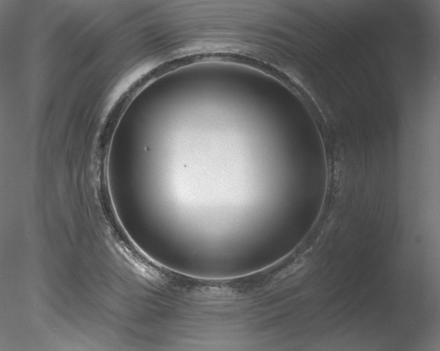 X0000078271119200611031135