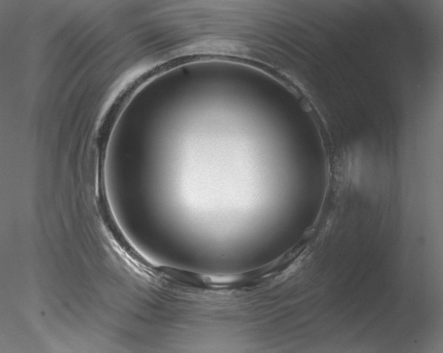X0000078271123200611031135