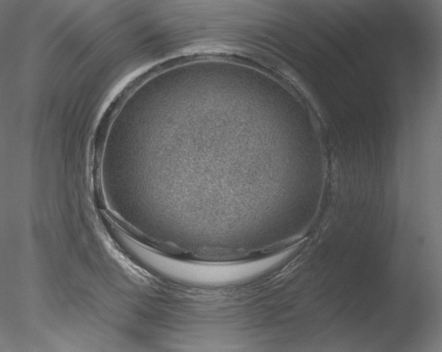 X0000078271124200611031135