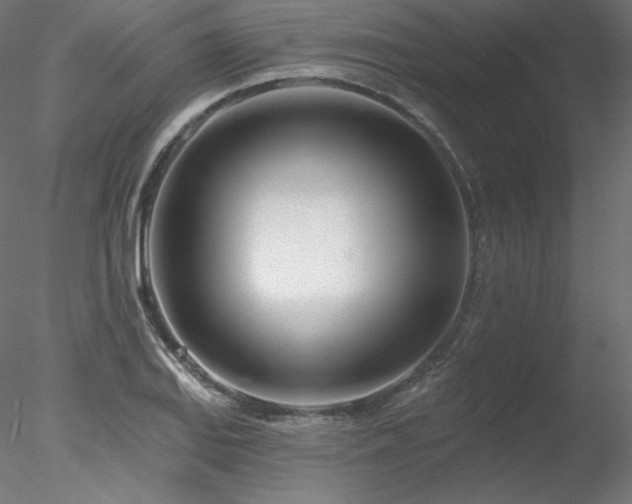 X0000078271127200611031135