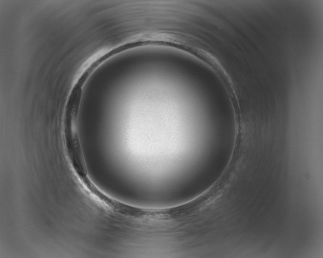 X0000078271133200611031135