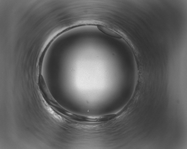X0000078271140200611031136