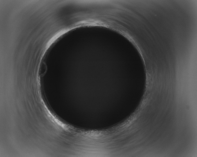 X0000078271141200611031136
