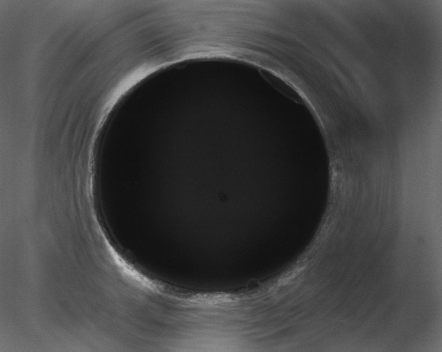 X0000078271143200611031136