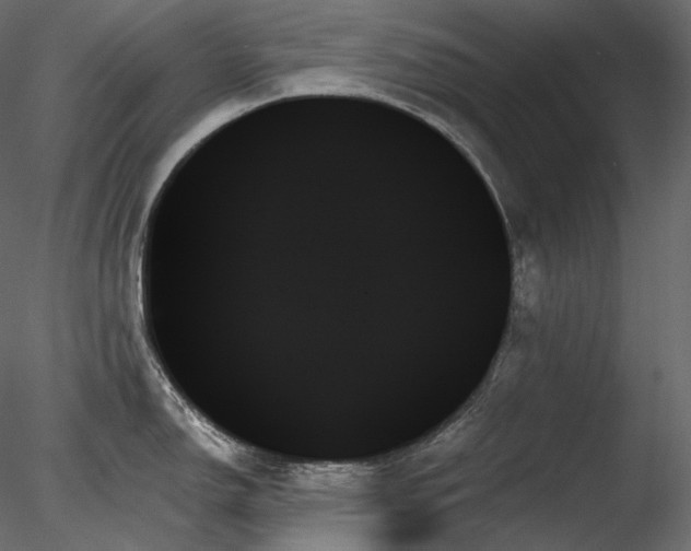 X0000078271150200611031136