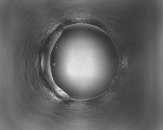 X0000078271156200611031135