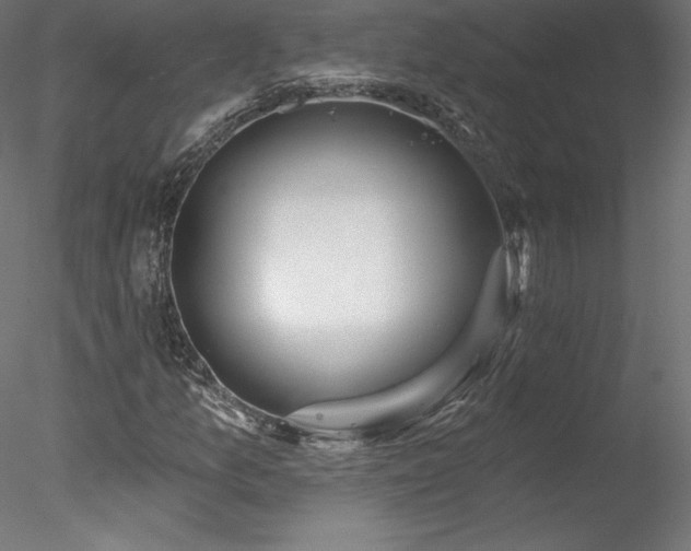 X0000078271157200611031135