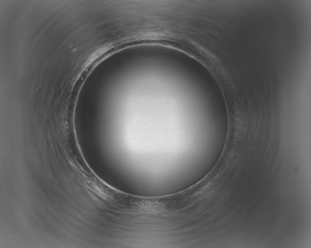 X0000078271170200611031135