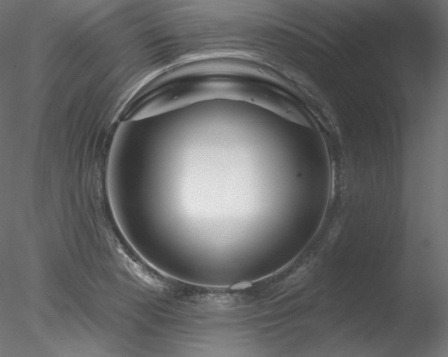 X0000078271177200611031135