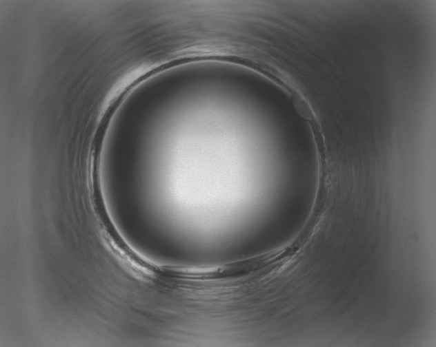 X0000078271179200611031135