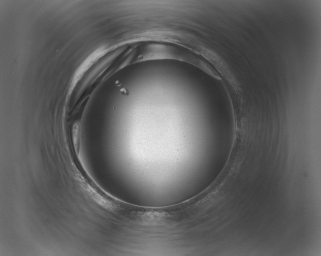 X0000078271180200611031134