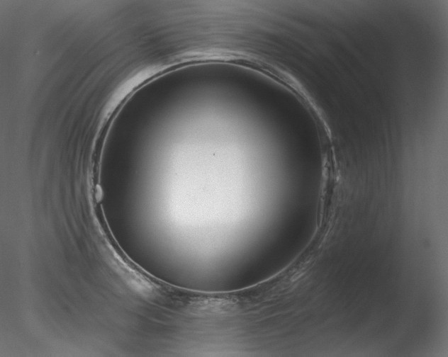 X0000078271187200611031134