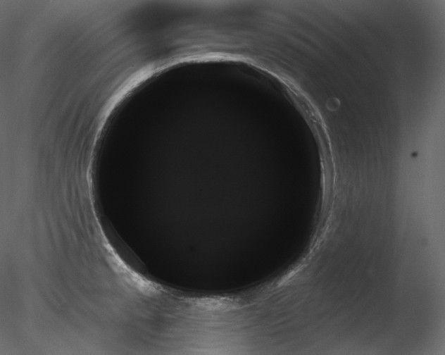 X0000078271189200611031134