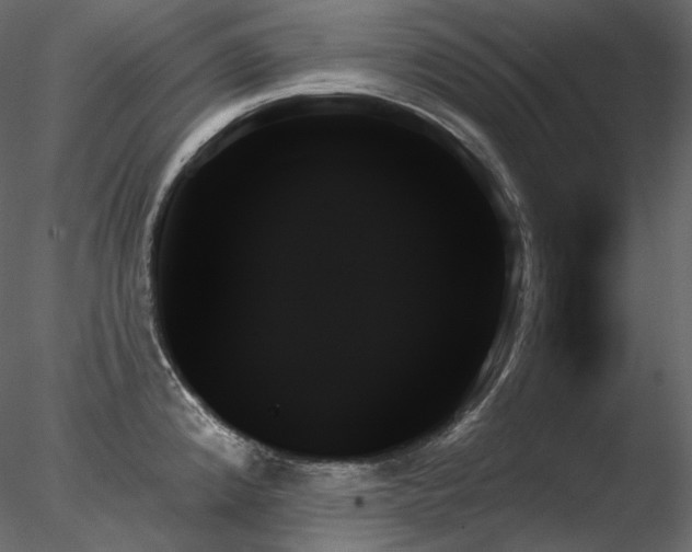 X0000078271192200611031134