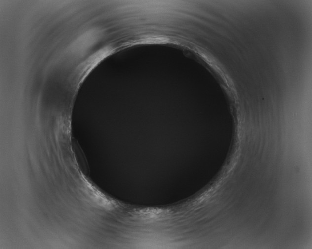 X0000078271193200611031134