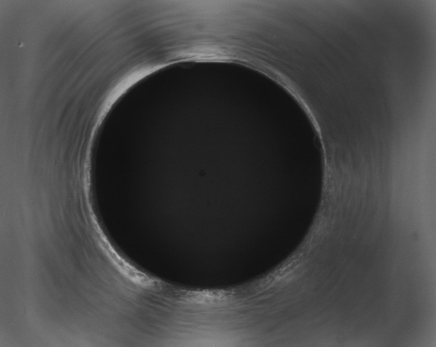 X0000078271195200611031134