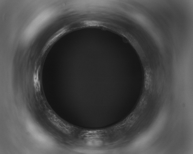 X0000078271198200611031134