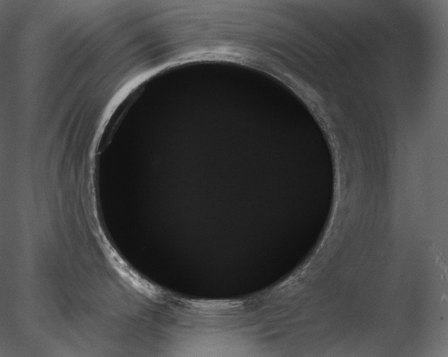 X0000078271200200611031134