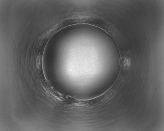 X0000078271204200611031133