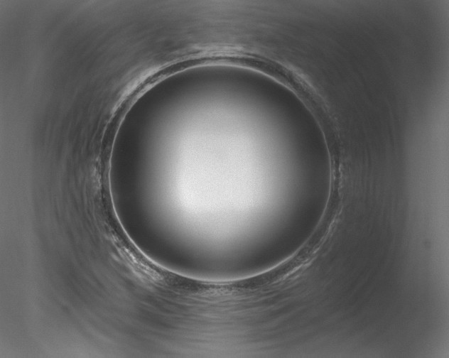 X0000078271212200611031134