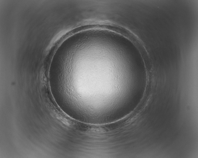 X0000078271215200611031134