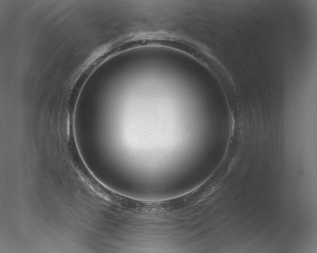 X0000078271221200611031134