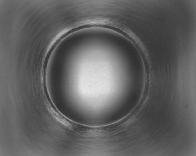 X0000078271232200611031134