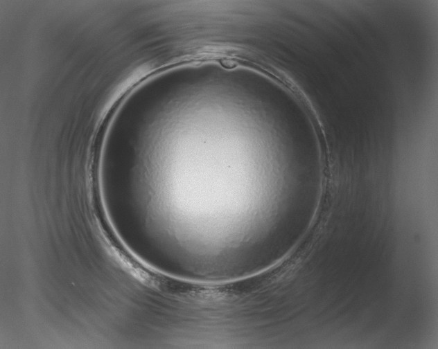 X0000078271235200611031134