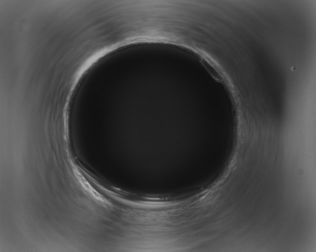 X0000078271238200611031134