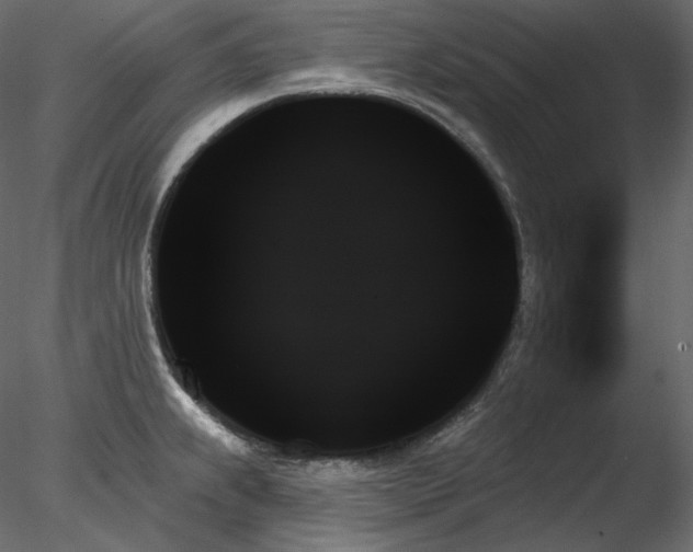 X0000078271239200611031134
