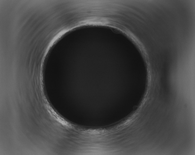 X0000078271240200611031134