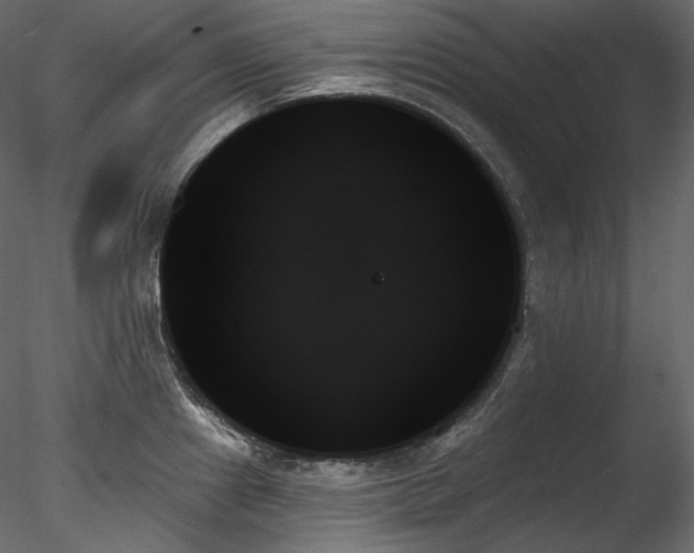 X0000078271241200611031134