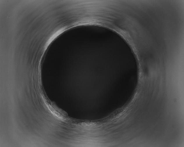 X0000078271242200611031134