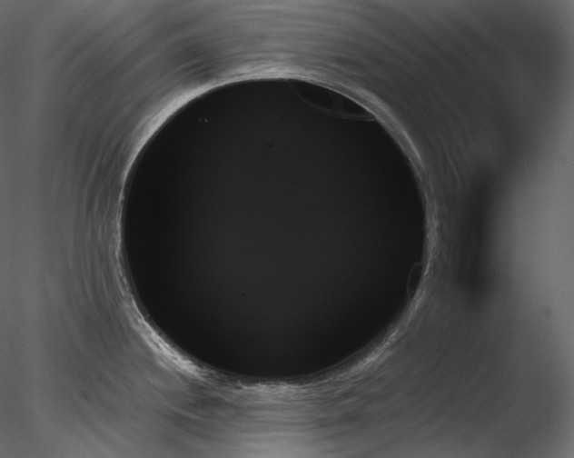X0000078271244200611031134