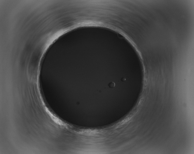 X0000078271245200611031134