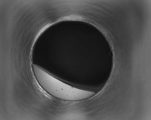 X0000078271248200611031134