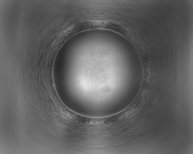 X0000078271249200611031133