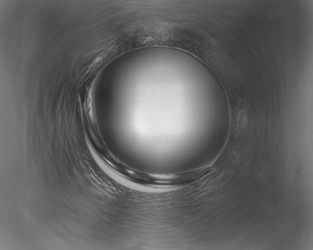 X0000078271250200611031133